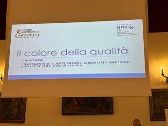 Olio, Inc: “Nuove evidenze scientifiche per preservare qualità evo in bottiglia”