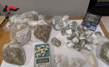 Operazione “Marshall”: disarticolata a Vicenza l’organizzazione nigeriana che importava droga dai Paesi Bassi Operazione Marshall Vicenza