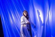 Vicenza eventi: una rassegna fitta tra teatro, musica, arte e storia eventi vicenza