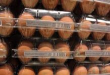 Quanti errori in cucina, dal frigo all’igiene: il decalogo dell’Iss per pasti sicuri