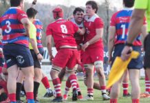 Volksbank Vicenza Volley ko in casa con Aduna, Rangers Rugby Vicenza trionfa in Coppa e vola in vetta Rangers Rugby Vicenza in festa