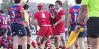 Volksbank Vicenza Volley ko in casa con Aduna, Rangers Rugby Vicenza trionfa in Coppa e vola in vetta Rangers Rugby Vicenza in festa