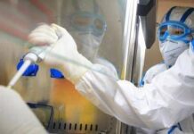 Ricerca, Aiom: “In Italia -57% studi indipendenti in 15 anni”