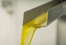 Rifiuti, RenOils: la raccolta degli oli esausti cresciuta del 2,4% nel 2024