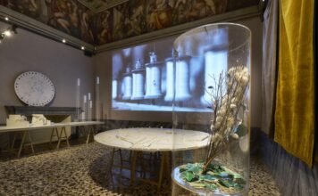Palladio Museum: la nuova “Sala dell’Impresa” racconta l’alleanza tra cultura e industria nel Rinascimento Sala Impresa Palladio Museum