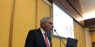 Schiavetti: “Regioni svolgono ruolo di organizzazione e gestione”