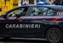 Torino, 15enne seviziato a Halloween: aperta inchiesta, sequestrati tre cellulari