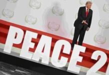 Truppe internazionali a Gaza? Ecco chi può partecipare secondo il gen. Cuzzelli