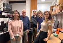 Università Sapienza coordina progetto Ue per diagnosi e terapia ottica tumori gastrointestinali