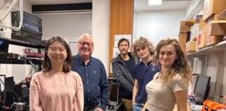 Università Sapienza coordina progetto Ue per diagnosi e terapia ottica tumori gastrointestinali