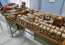 Oltre 110 chili di hashish trovata in un’auto nel Napoletano, proseguono le indagini