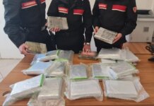 Fermata in auto con 23kg di cocaina dopo un inseguimento, arrestata una donna in provincia di Salerno