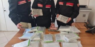 Fermata in auto con 23kg di cocaina dopo un inseguimento, arrestata una donna in provincia di Salerno