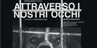 Alla Biblioteca civica VEZ la mostra “Attraverso i nostri occhi” di Caterina Murino