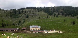 2 milioni di euro per le malghe del Veneto, Presidente Ciambetti: “Così si favoriscono sviluppo economico e turismo sostenibile” malghe del Veneto