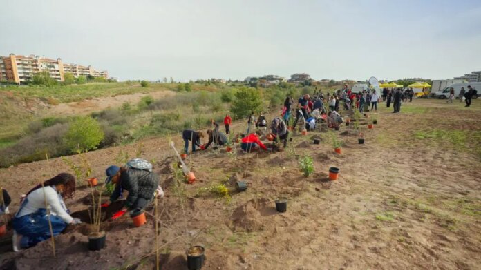 WhatsApp-Image-2025-11-15-at-141730-1