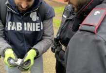 Controlli antidroga a Roma, Carabinieri arrestano 18 persone