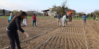 Vicenza, semina collettiva a Cascina Carpaneda con l’Assemblea Bene Comune. Focus su suolo, cereali e PFAS cascina carpeneda