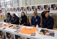 Solidarietà, sabato 15 novembre torna la Colletta Alimentare. A Vicenza coinvolti 144 supermercati e oltre 2700 volontari presentazione colletta alimentare