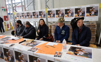 Solidarietà, sabato 15 novembre torna la Colletta Alimentare. A Vicenza coinvolti 144 supermercati e oltre 2700 volontari presentazione colletta alimentare