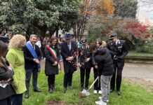 Giornata Nazionale degli Alberi: Carabinieri Forestali di Vicenza nelle scuole per l’educazione ambientale giornata alberi carabnieri forestale vicenza