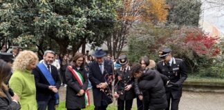 Giornata Nazionale degli Alberi: Carabinieri Forestali di Vicenza nelle scuole per l’educazione ambientale giornata alberi carabnieri forestale vicenza