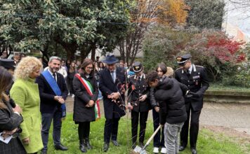Giornata Nazionale degli Alberi: Carabinieri Forestali di Vicenza nelle scuole per l’educazione ambientale giornata alberi carabnieri forestale vicenza
