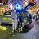 GDF Treviso: controlli serrati nella notte di Halloween, scoperti 24 lavoratori in nero e due pusher gdf treviso