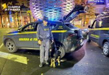 GDF Treviso: controlli serrati nella notte di Halloween, scoperti 24 lavoratori in nero e due pusher gdf treviso