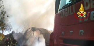 Caldogno, legnaia in fiamme: distrutti anche un trattorino e una motofalciatrice incendio caldogno