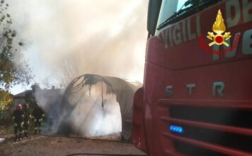 Caldogno, legnaia in fiamme: distrutti anche un trattorino e una motofalciatrice incendio caldogno