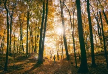 Estate di San Martino con l’alta pressione africana, temperature di 10 gradi oltre la media estate san martino
