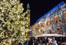 Natale a Vicenza, accesi albero e luminarie in piazza dei Signori natale vicenza 2025 piazza signori