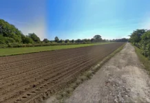 Parco delle Rogge a rischio: Aria Bassanese denuncia l’ipotesi di Bretella Ovest e un maxi impianto agrivoltaico parco rurale sovracomunale civiltà delle rogge