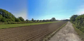 Parco delle Rogge a rischio: Aria Bassanese denuncia l’ipotesi di Bretella Ovest e un maxi impianto agrivoltaico parco rurale sovracomunale civiltà delle rogge