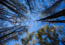 L’estate di San Martino non delude, stop alla pioggia arrivano beltempo e temperature miti estate san martino