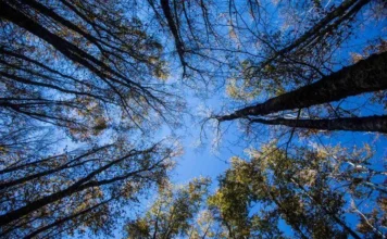 L’estate di San Martino non delude, stop alla pioggia arrivano beltempo e temperature miti estate san martino