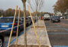 Parcheggio dell’Ospedale di Vicenza Rodolfi Nord, riqualificazione completata con 8 nuovi alberi. A primavera tocca al Rodolfi Sud piante parcheggio rodolfi nord