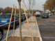 Parcheggio dell’Ospedale di Vicenza Rodolfi Nord, riqualificazione completata con 8 nuovi alberi. A primavera tocca al Rodolfi Sud piante parcheggio rodolfi nord