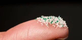 Medici ambiente, da cervello a placenta microplastiche ovunque nel nostro corpo microplastiche