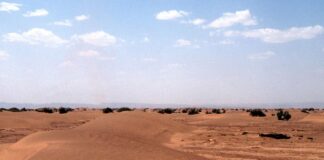 Il Consiglio di Sicurezza dell’Onu riconosce la sovranità del Marocco sul Sahara