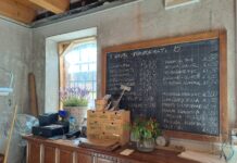 Fattoria Il PomoDoro: a Bolzano Vicentino sostenibilità ambientale e inclusione sociale Un'offerta sempre nuova, di stagione, biologica e a km0