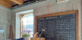 Fattoria Il PomoDoro: a Bolzano Vicentino sostenibilità ambientale e inclusione sociale Un'offerta sempre nuova, di stagione, biologica e a km0