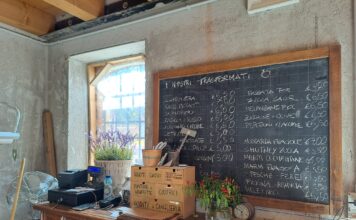 Fattoria Il PomoDoro: a Bolzano Vicentino sostenibilità ambientale e inclusione sociale Un'offerta sempre nuova, di stagione, biologica e a km0