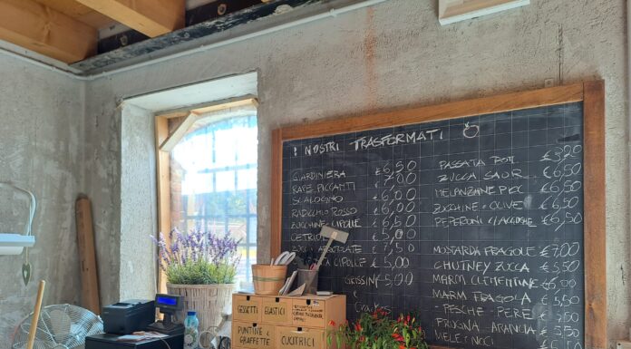 Fattoria Il PomoDoro: a Bolzano Vicentino sostenibilità ambientale e inclusione sociale Un'offerta sempre nuova, di stagione, biologica e a km0