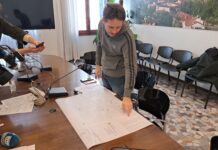 Ztl a Vicenza, sistemi di controllo presto completati: in arrivo 12 telecamere ai varchi di uscita e 3 sulle corsie riservate a bus e taxi nuove telecamere ztl vicenza