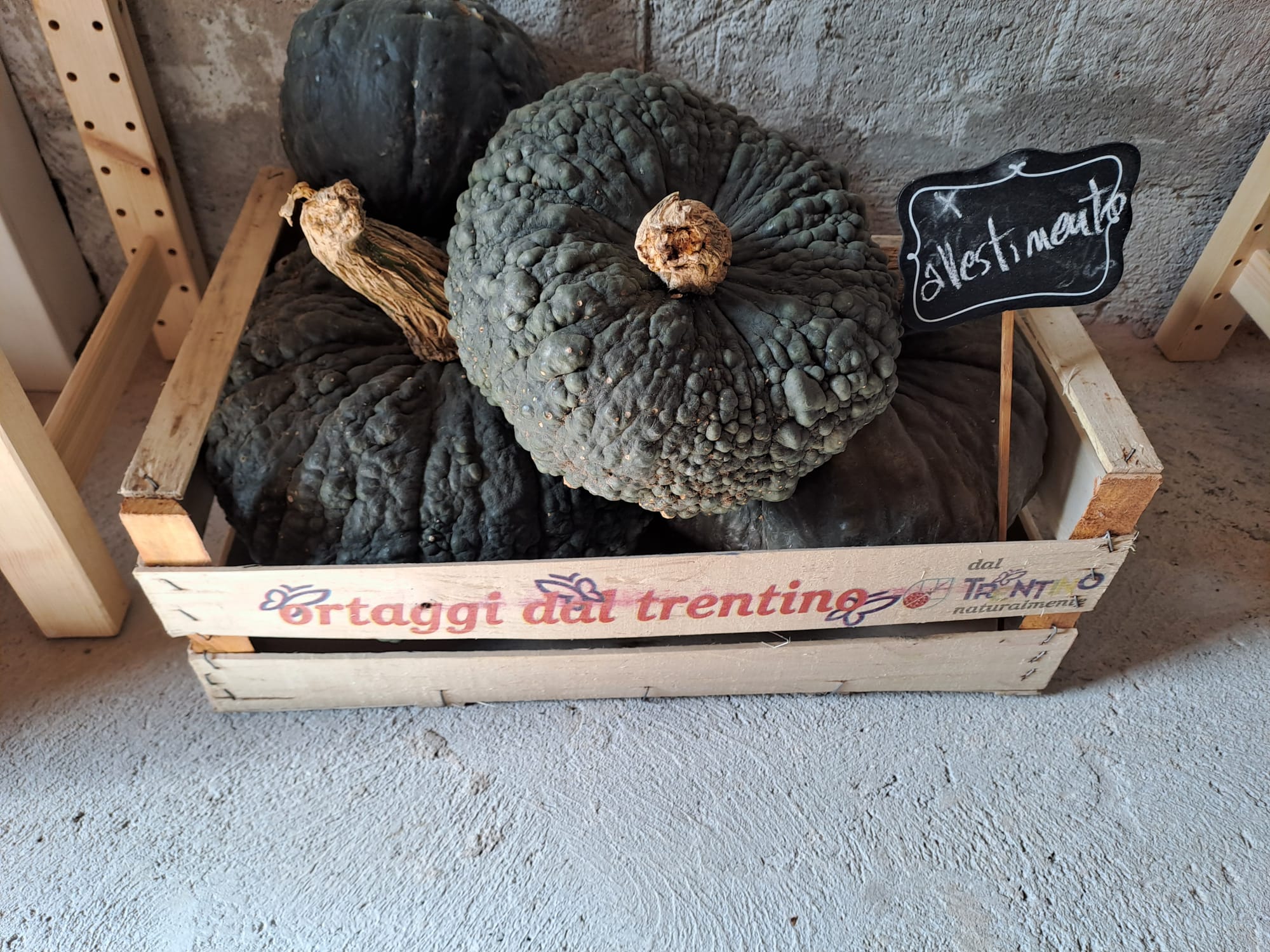 Non è quella di Cenerentola, ma è comunque una bellissima fiaba