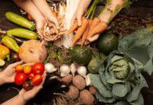 Rafforzamento della Pac, assessore Bond: grande risultato per l’agricoltura veneta e per il sistema Paese Pac, Politica agricola comune