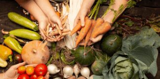 Rafforzamento della Pac, assessore Bond: grande risultato per l’agricoltura veneta e per il sistema Paese Pac, Politica agricola comune