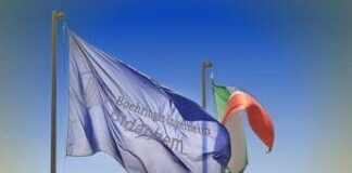 Boehringer Ingelheim, Sara Frattini alla guida di Bidachem Spa